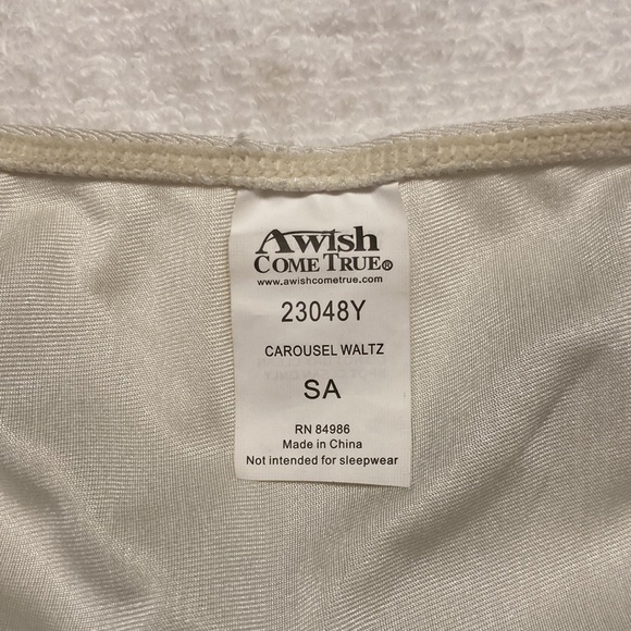 Awish Come True Small Adult Costume - Picture 3 of 3